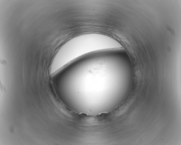 X0000091190325200708091027