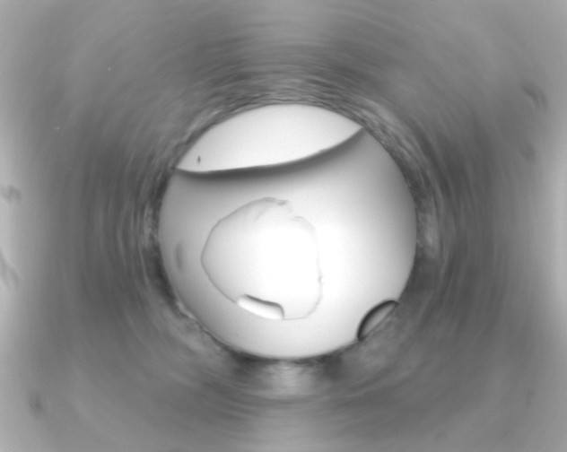 X0000091190326200708091027
