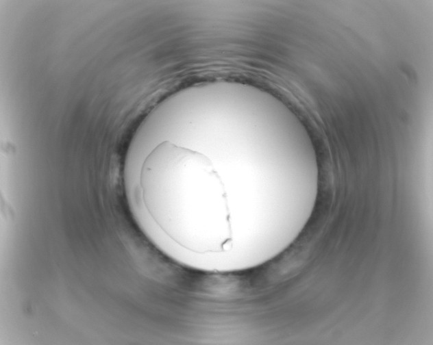 X0000091190328200708091027