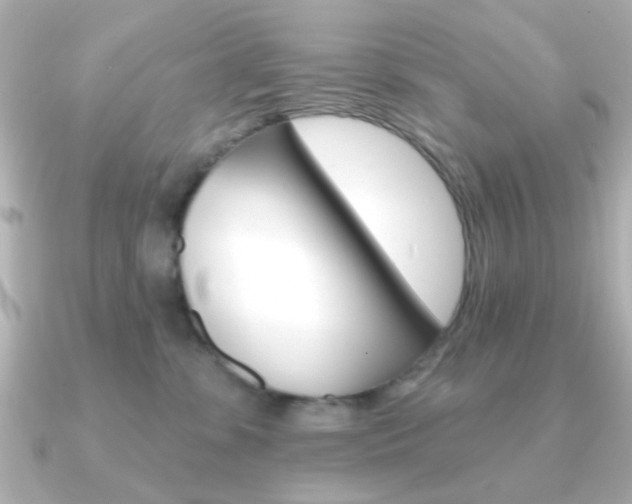 X0000091190331200708091027