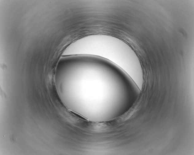 X0000091190333200708091027