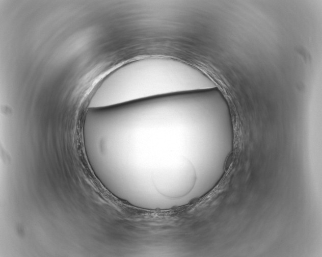 X0000091190338200708091026