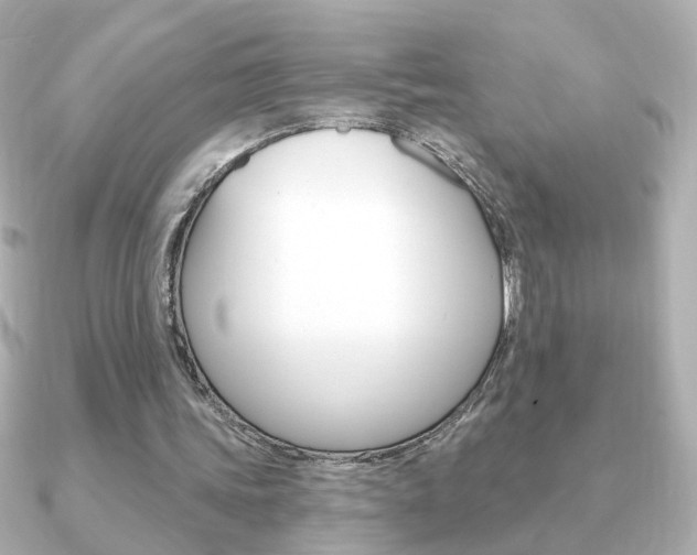 X0000091190339200708091026