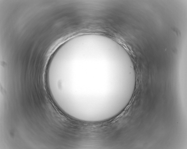 X0000091190340200708091026