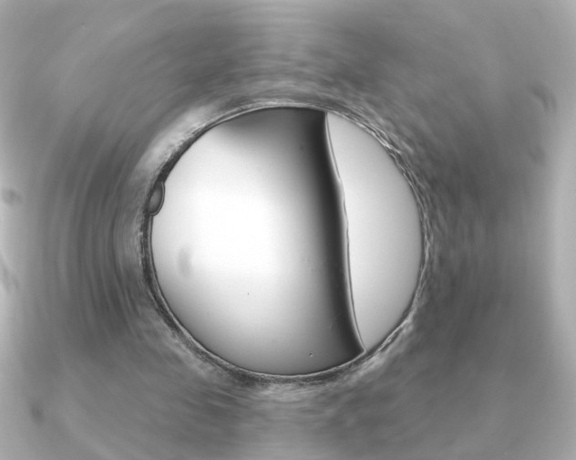 X0000091190341200708091026