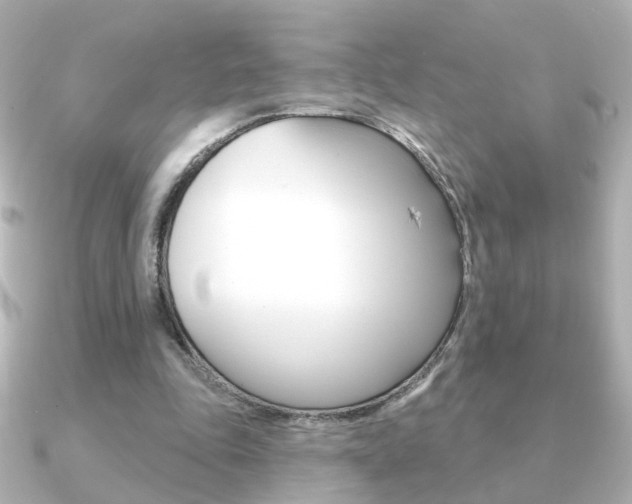 X0000091190343200708091026