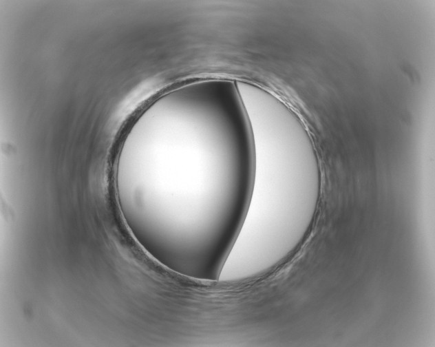 X0000091190344200708091026