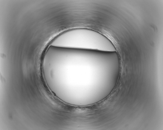 X0000091190346200708091026