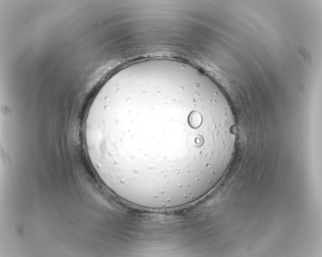 X0000091190347200708091026