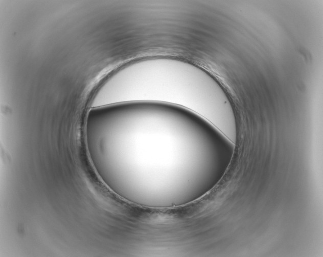 X0000091190348200708091026