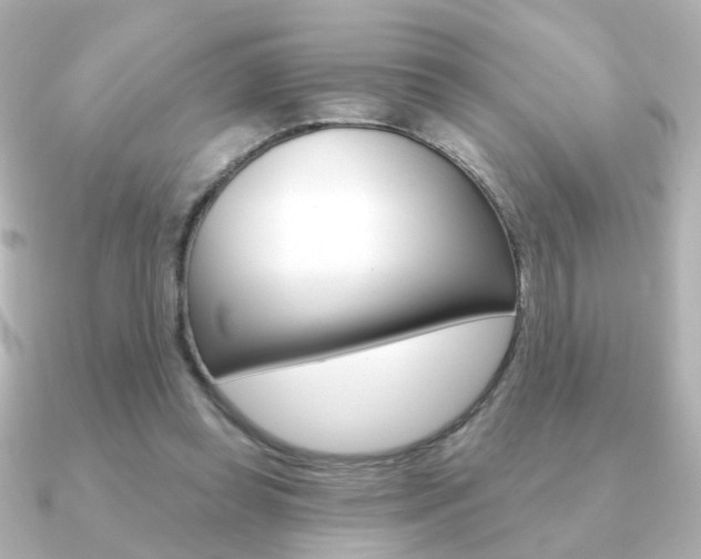 X0000091190349200708091026
