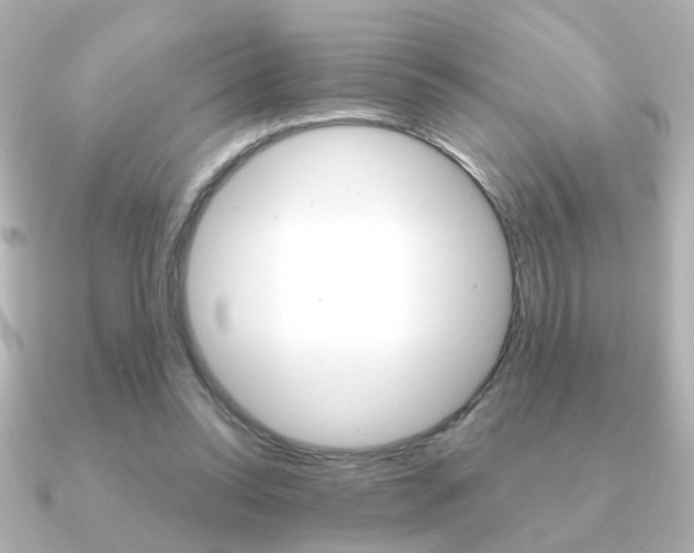 X0000091190350200708091026
