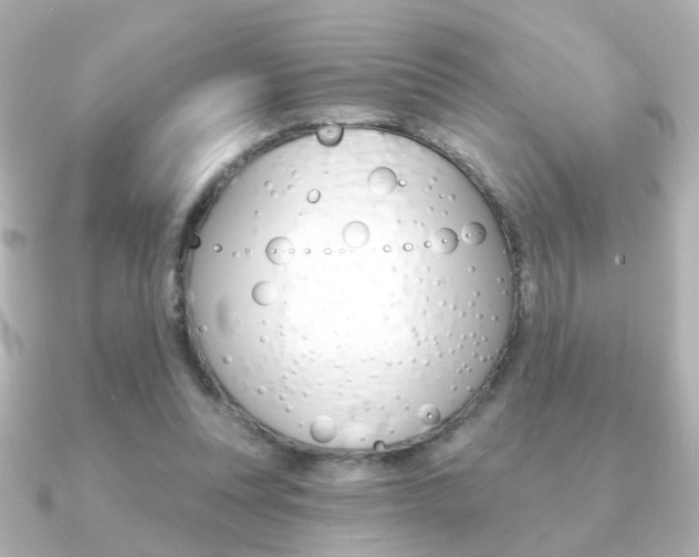 X0000091190351200708091026