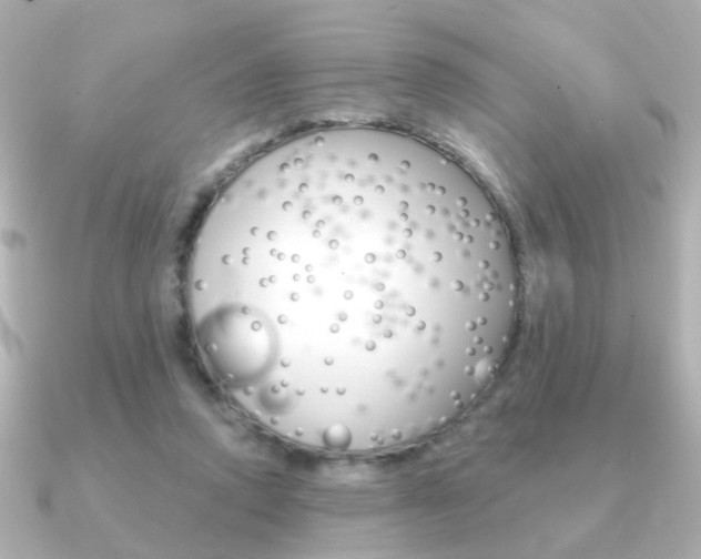 X0000091190354200708091026