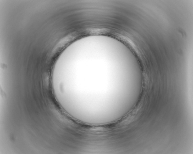 X0000091190357200708091026