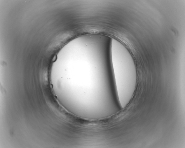 X0000091190358200708091026