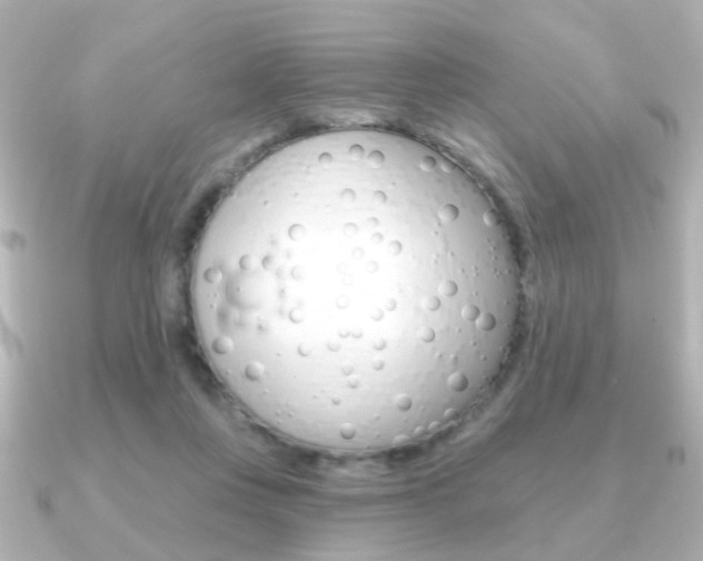 X0000091190359200708091026