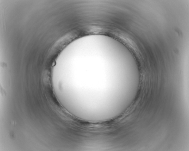 X0000091190361200708091026