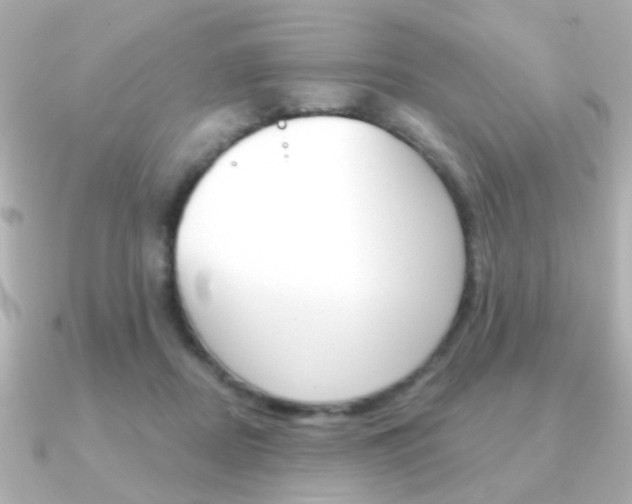 X0000091190362200708091026
