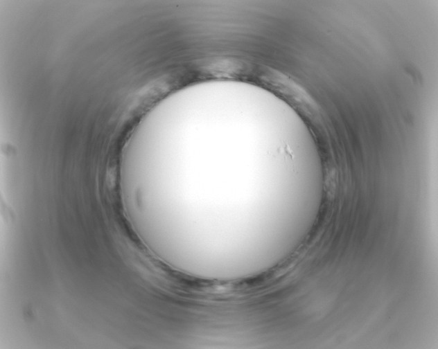 X0000091190365200708091026
