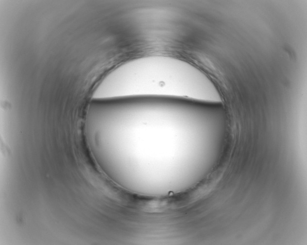X0000091190366200708091026