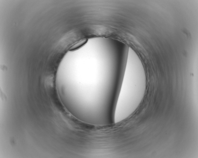 X0000091190368200708091026