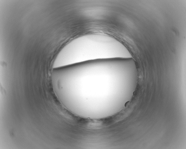 X0000091190369200708091026