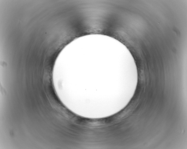 X0000091190370200708091026