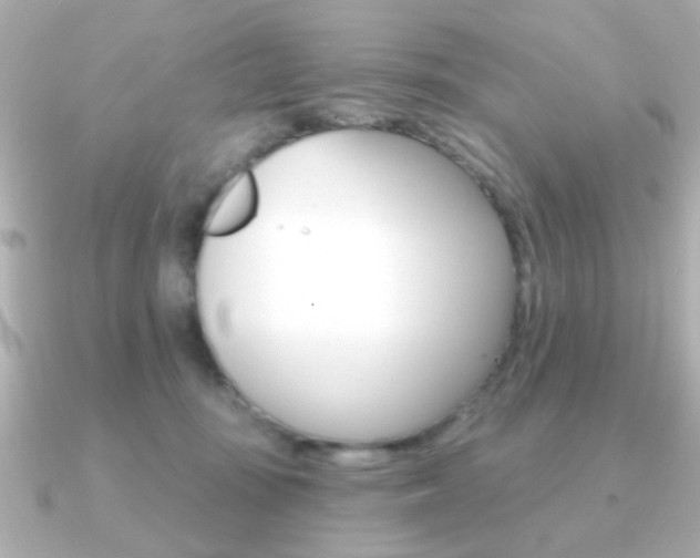 X0000091190371200708091026