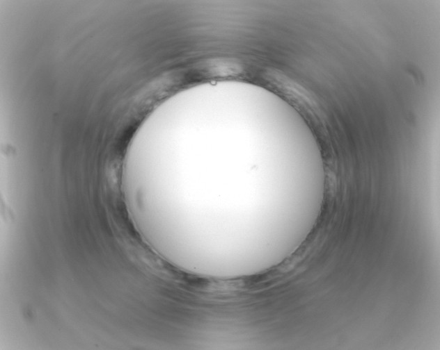 X0000091190373200708091026
