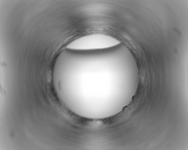 X0000091190374200708091026