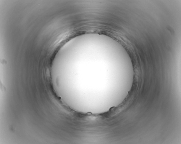 X0000091190375200708091026