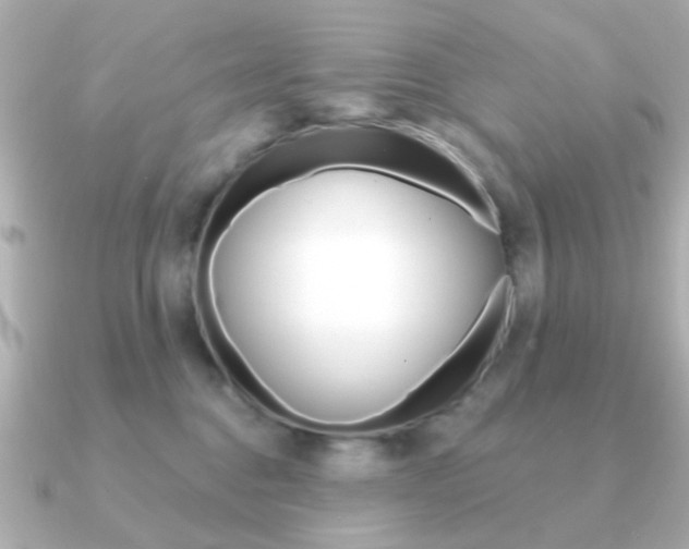 X0000091190376200708091026