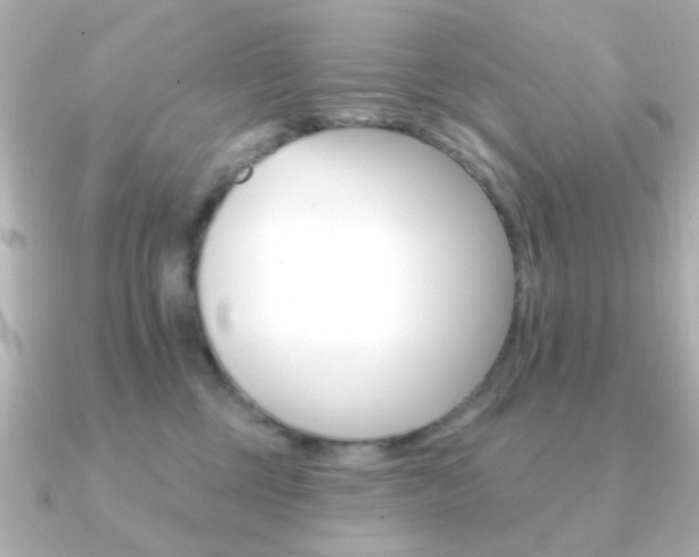 X0000091190377200708091026