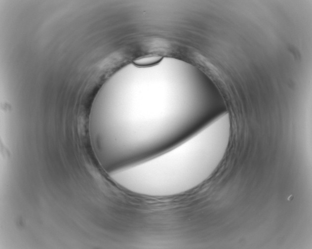 X0000091190379200708091026