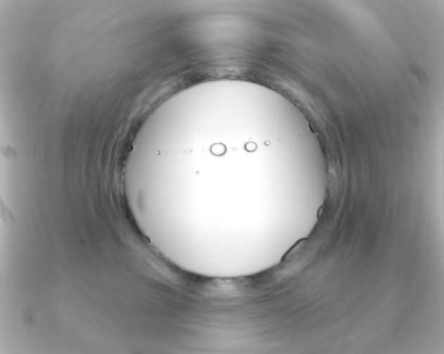 X0000091190381200708091026