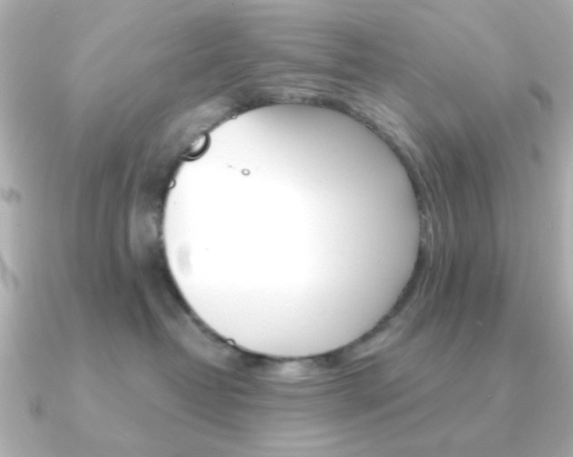 X0000091190382200708091026
