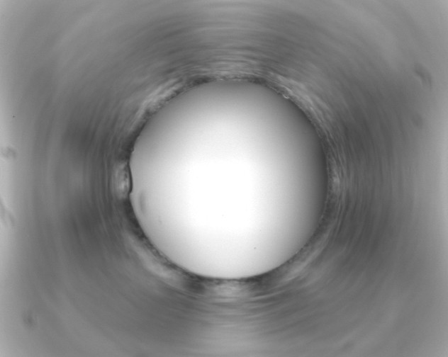 X0000091190383200708091026