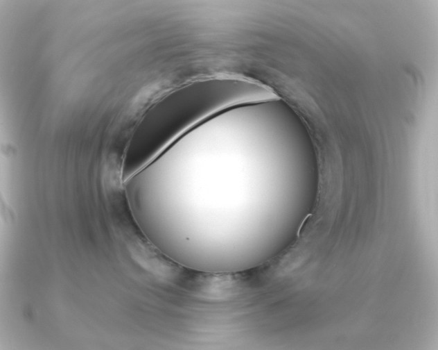 X0000091190384200708091026