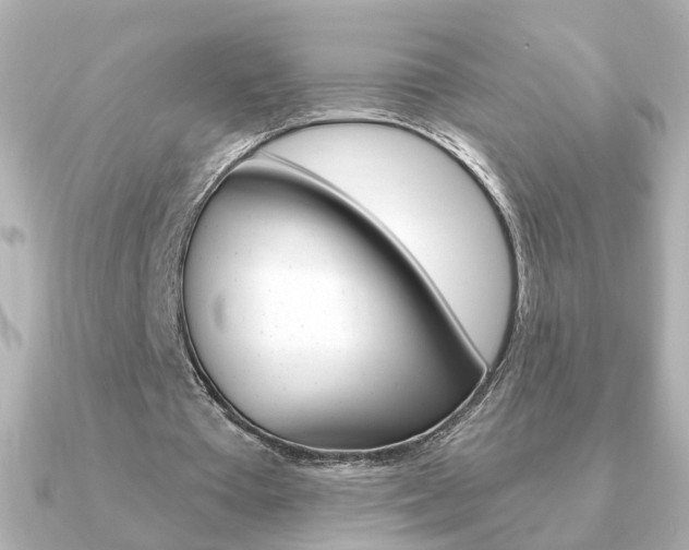 X0000091190385200708091026