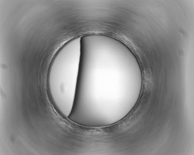 X0000091190386200708091026