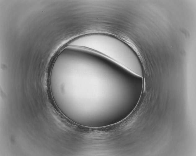 X0000091190387200708091026