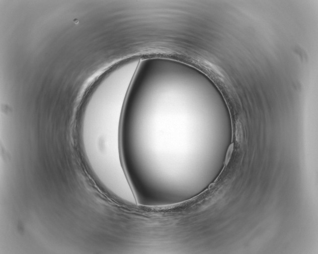 X0000091190388200708091026