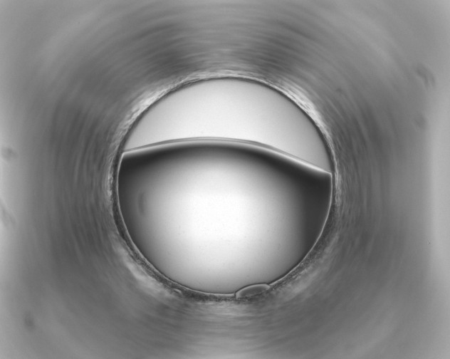 X0000091190389200708091026