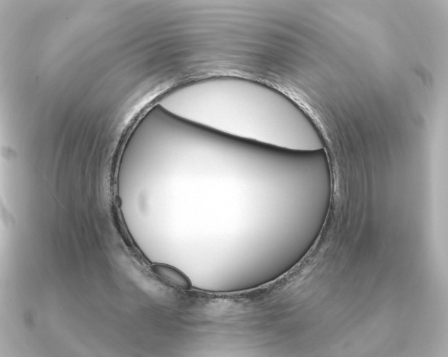 X0000091190390200708091026