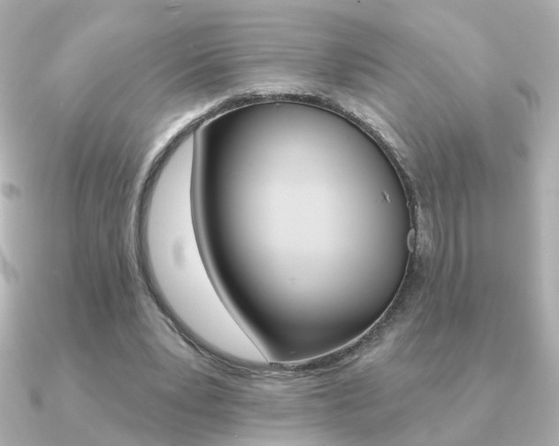 X0000091190391200708091026