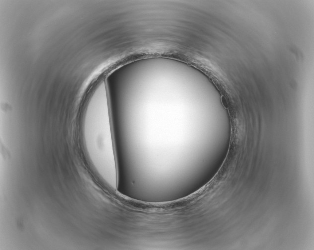 X0000091190392200708091026