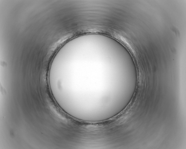 X0000091190394200708091026