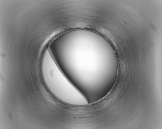 X0000091190395200708091026