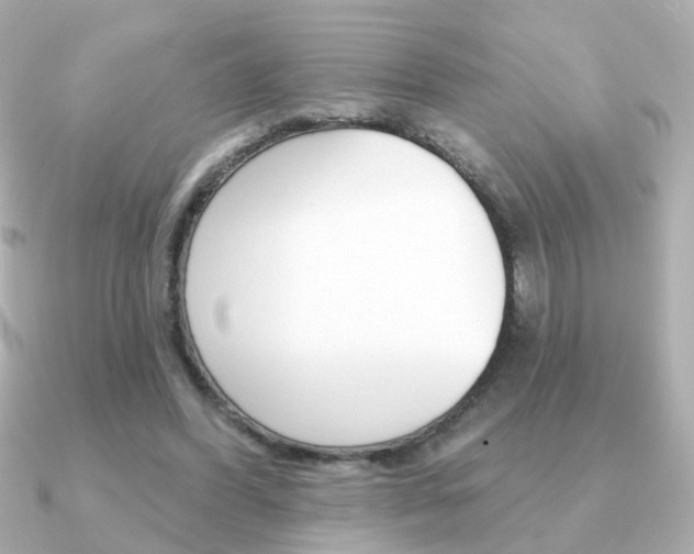 X0000091190396200708091026